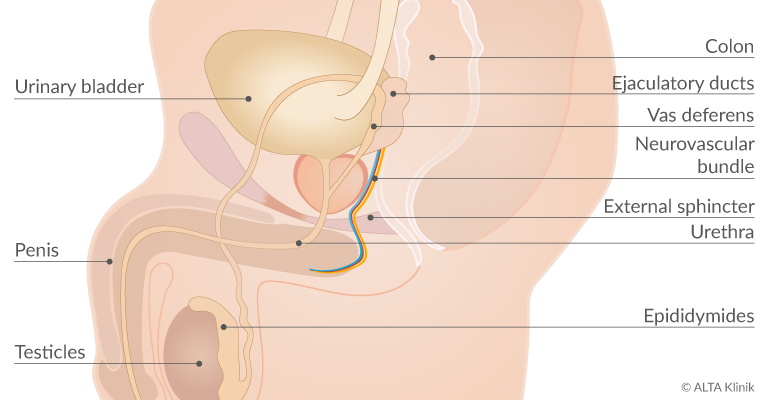 prostatita care statistici